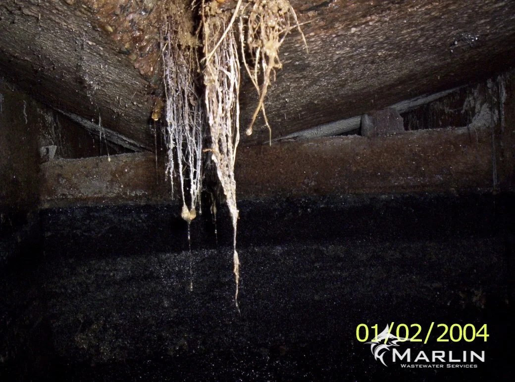 Marlin Cracked Septic Tanks10.jpg