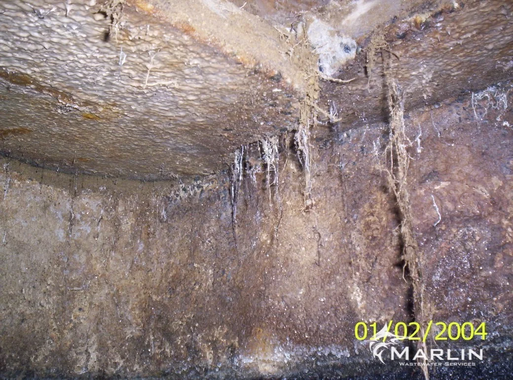 Marlin Cracked Septic Tanks12.jpg