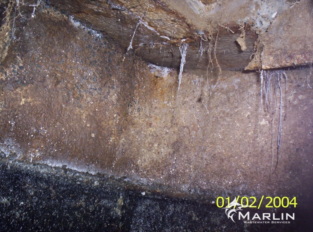 Marlin Cracked Septic Tanks13.jpg