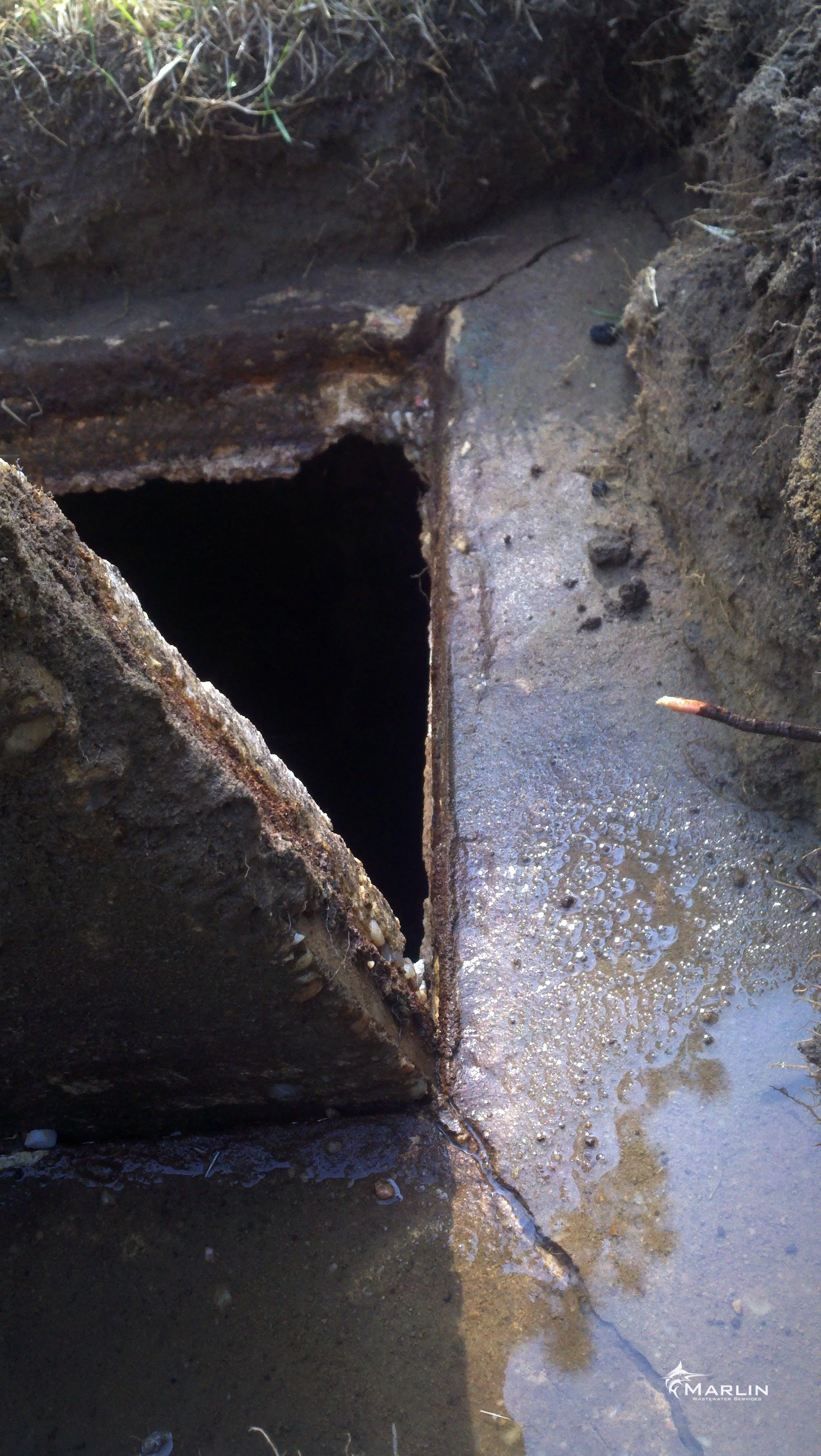 Marlin Cracked Septic Tanks38.jpg