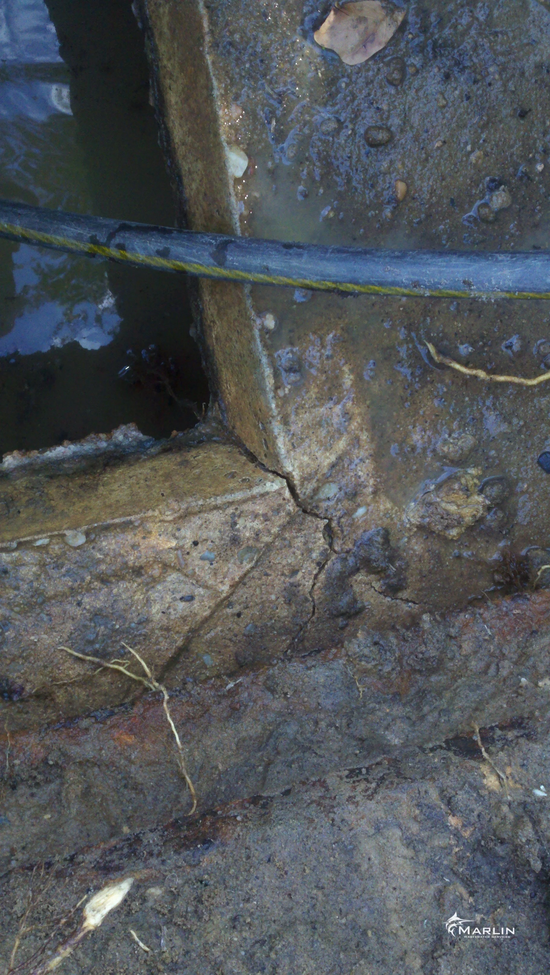 Marlin Cracked Septic Tanks43.jpg