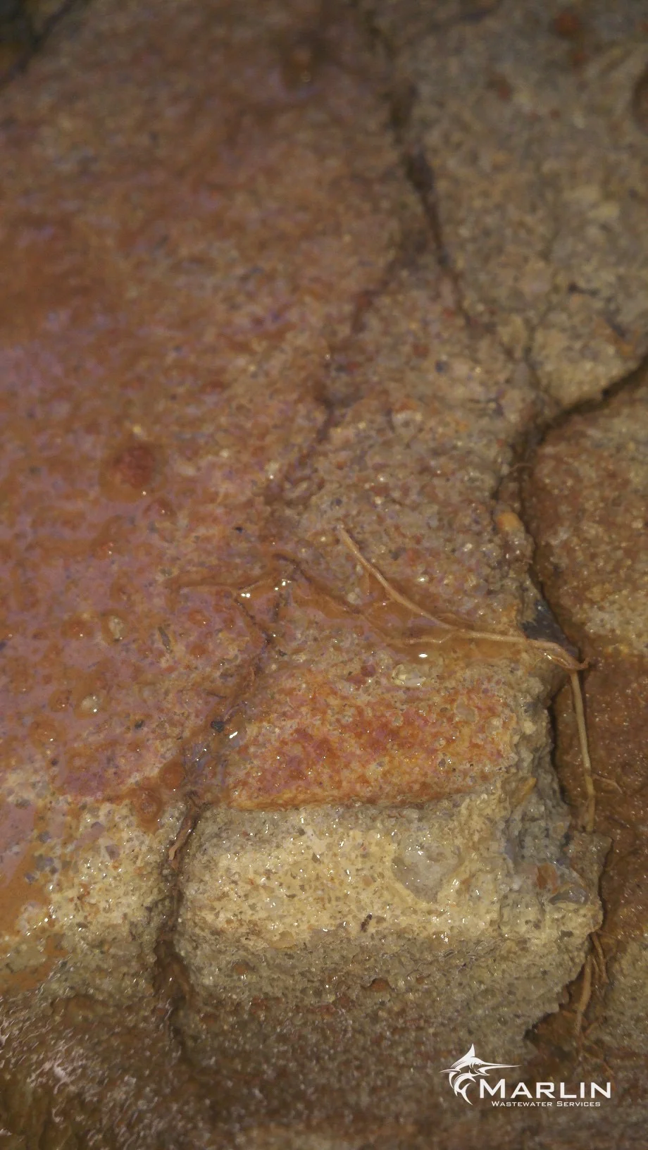 Marlin Cracked Septic Tanks59.jpg