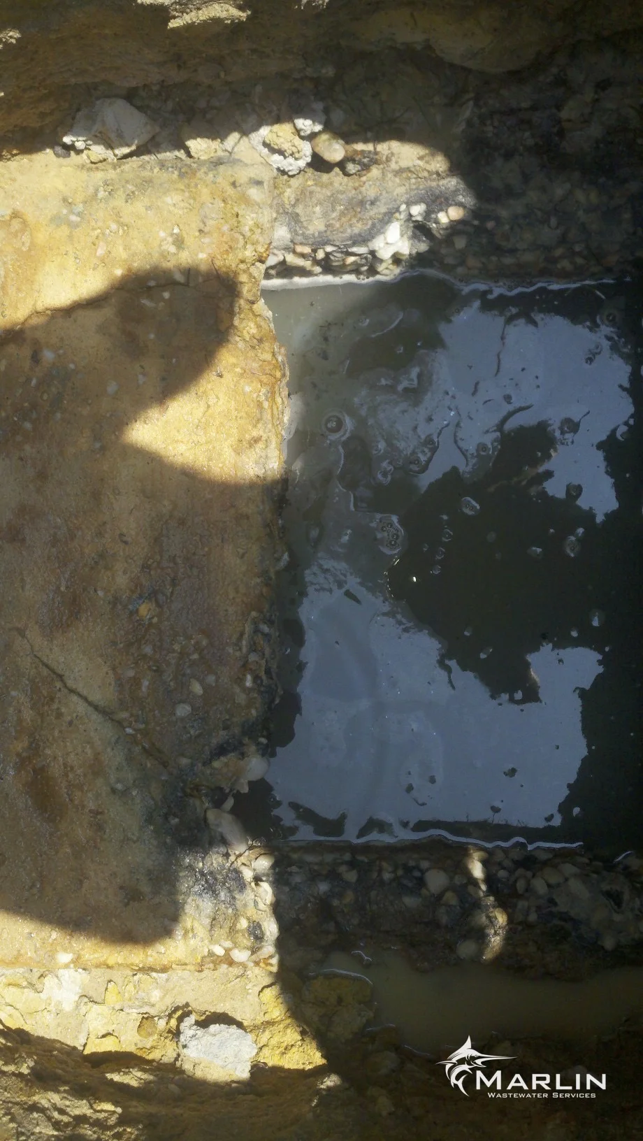 Marlin Cracked Septic Tanks61.jpg
