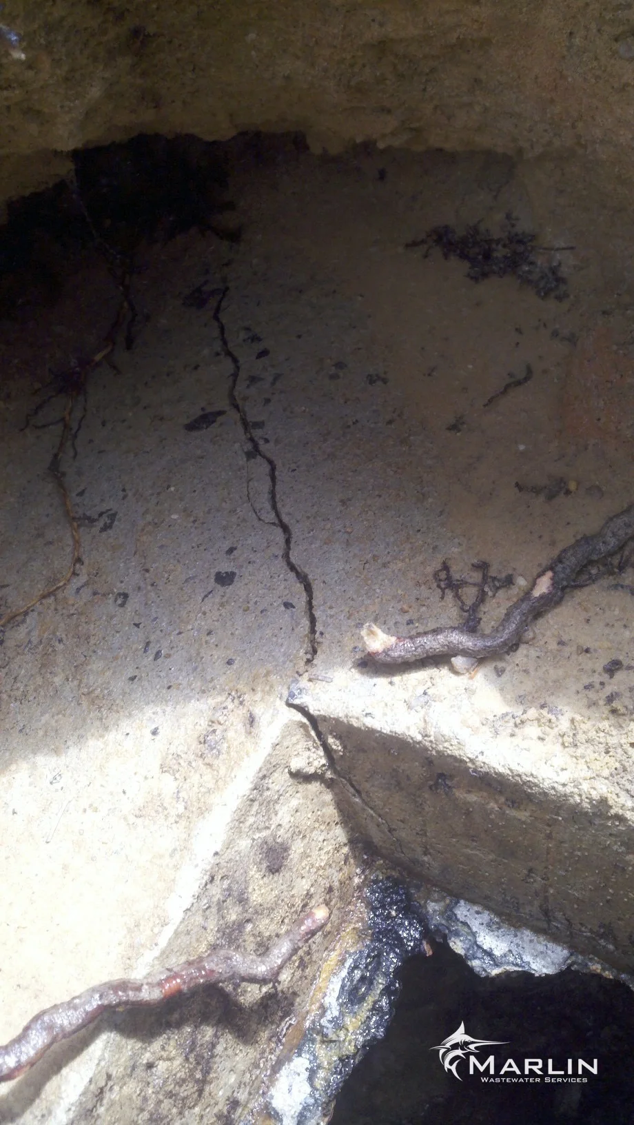 Marlin Cracked Septic Tanks65.jpg