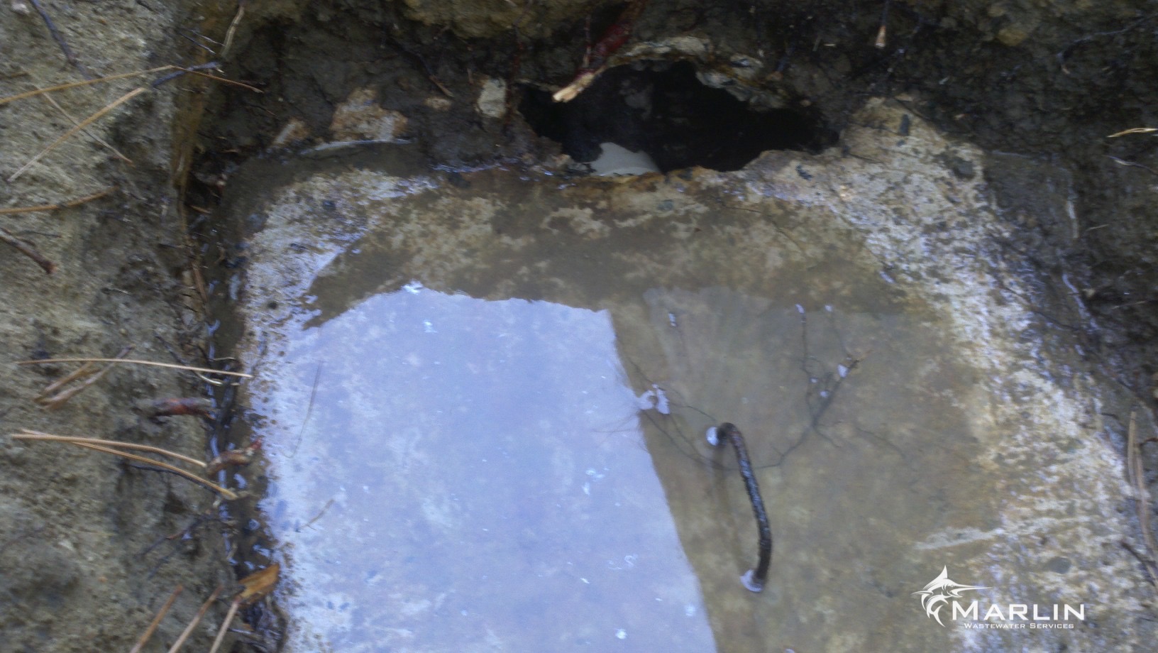 Marlin Cracked Septic Tanks74.jpg