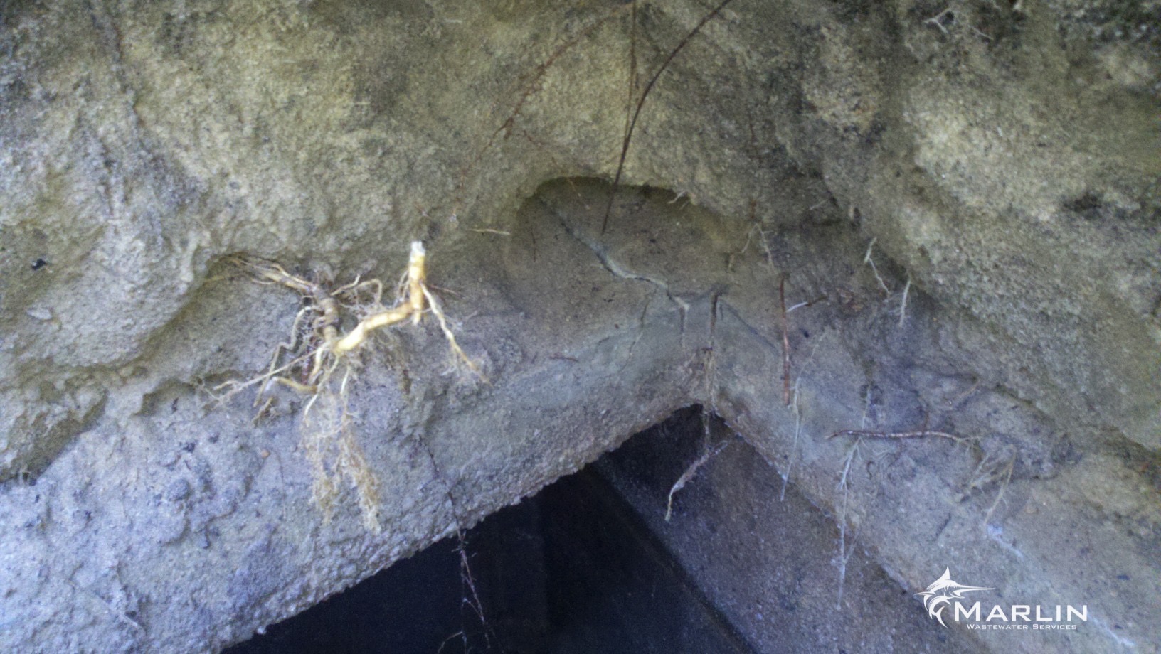 Marlin Cracked Septic Tanks98.jpg