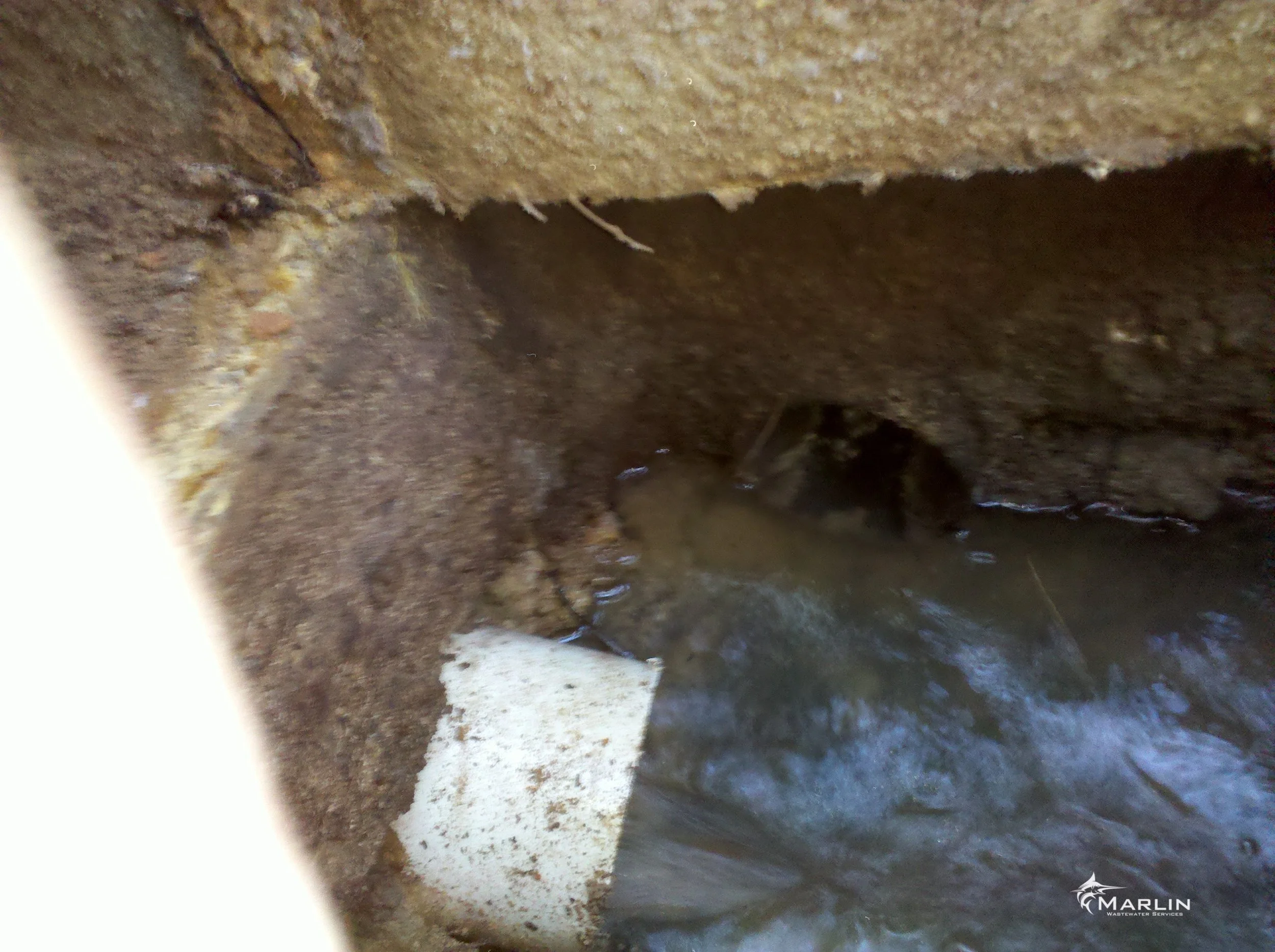 Marlin Cracked Septic Tanks119.jpg