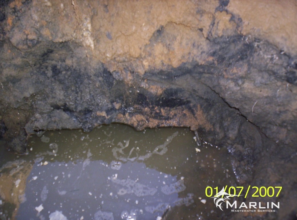 Marlin Septic System Backing Up2.jpg