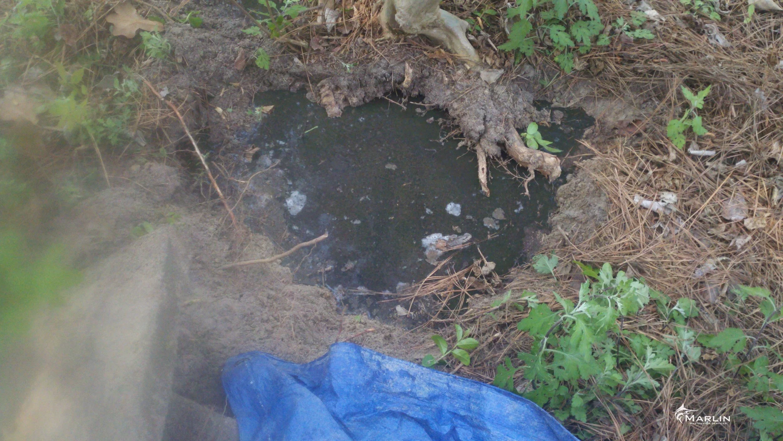 Marlin Septic System Backing Up6.jpg