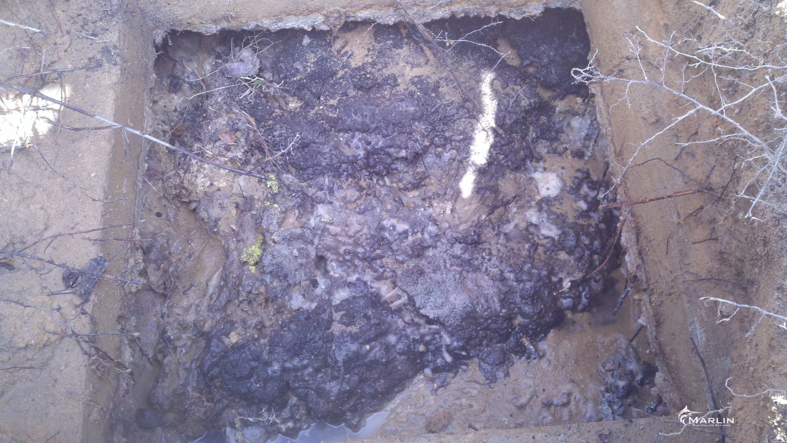 Marlin Inside the Septic Tank4.jpg