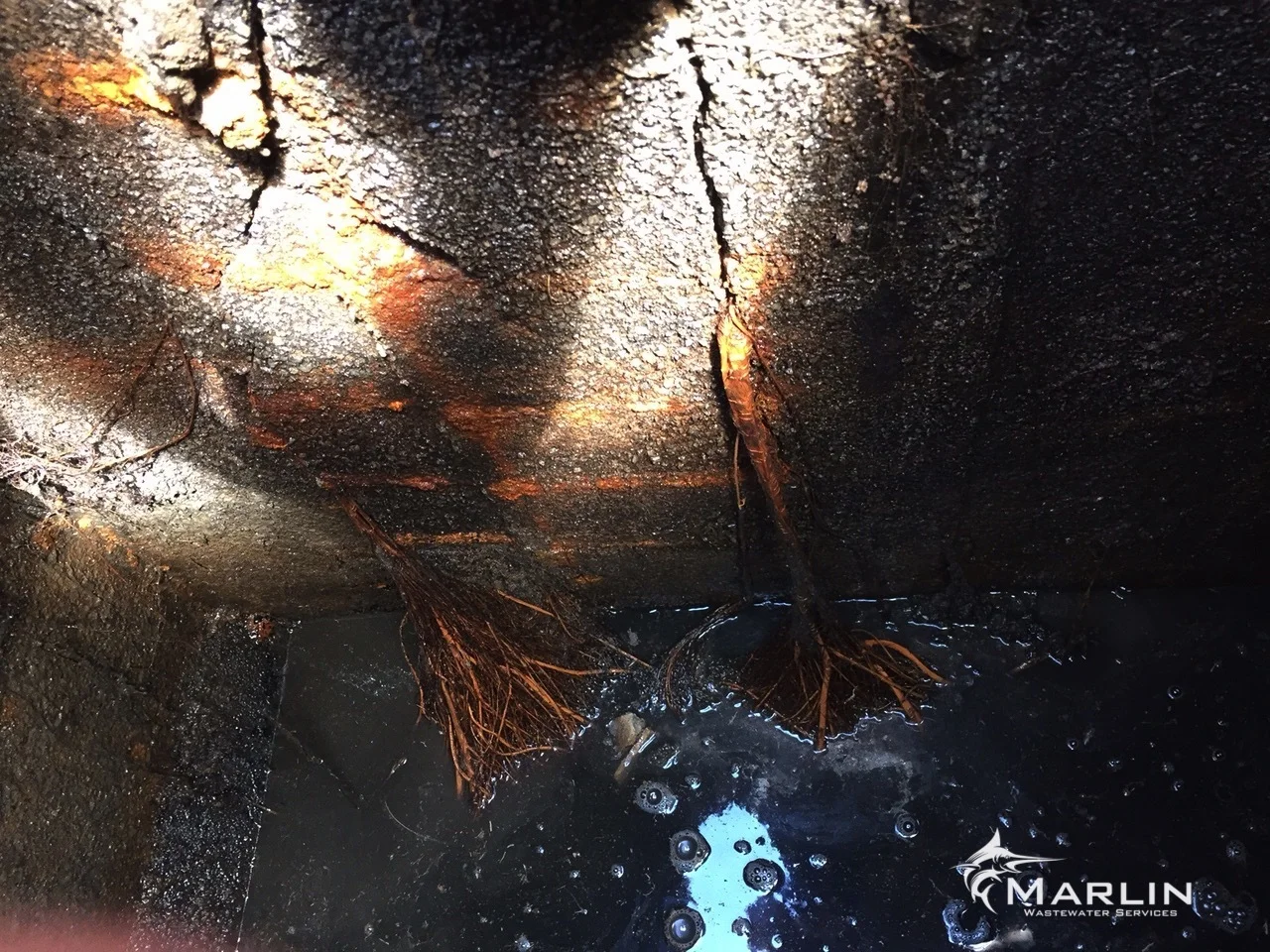 Marlin Unsorted Septic System 109.JPG