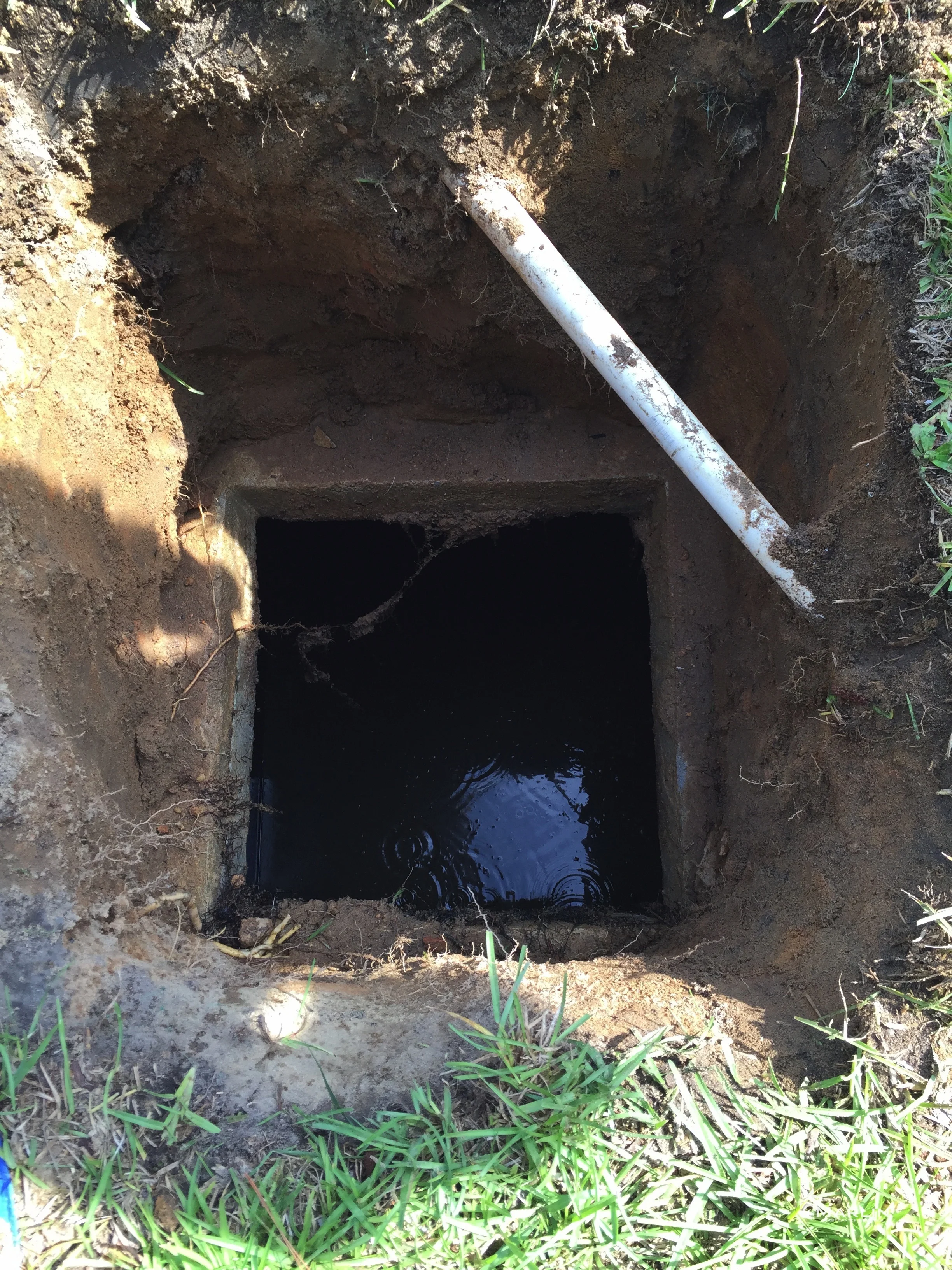 Marlin Unsorted Septic System 108.JPG