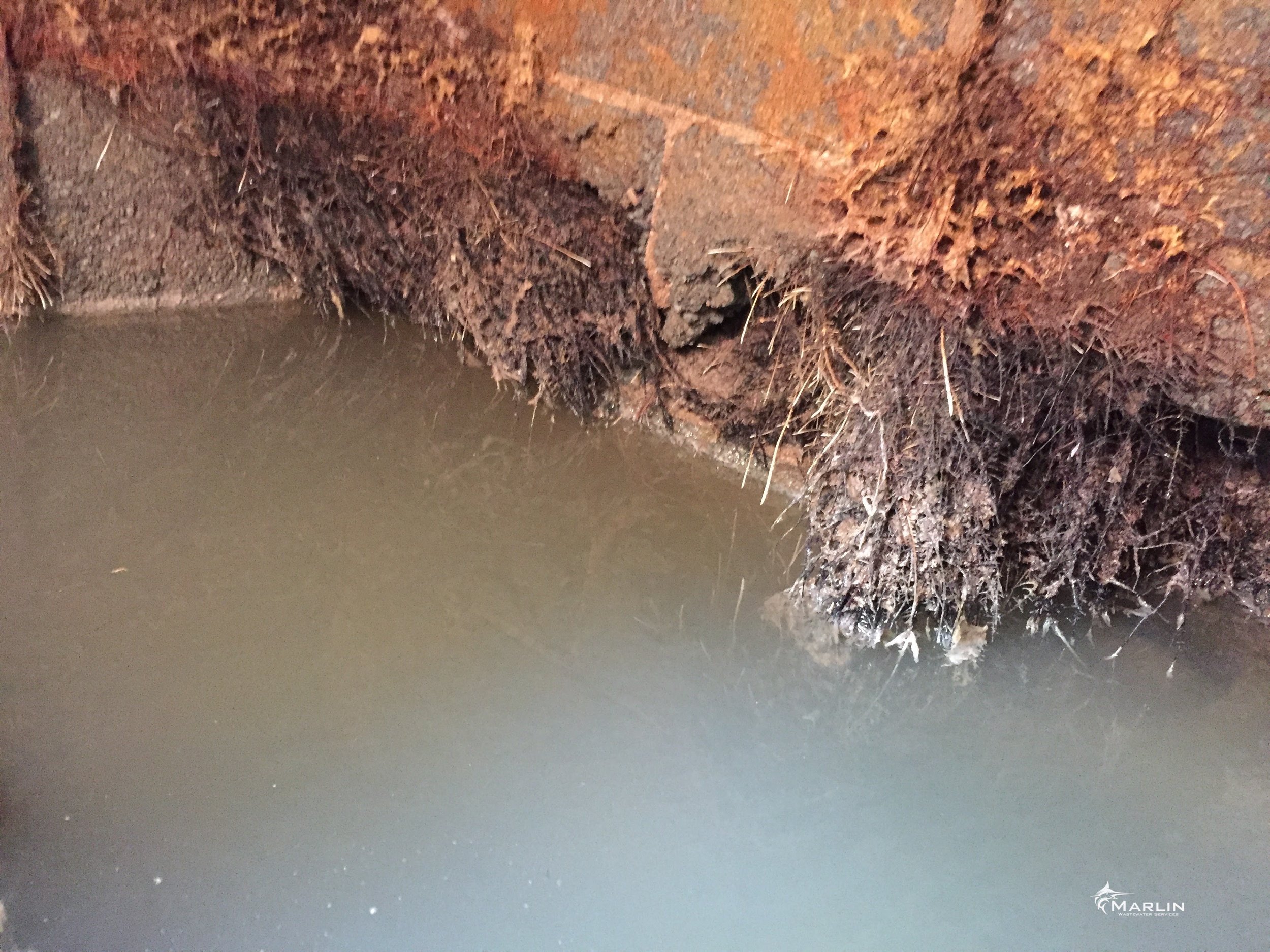 Marlin Unsorted Septic System 111.JPG