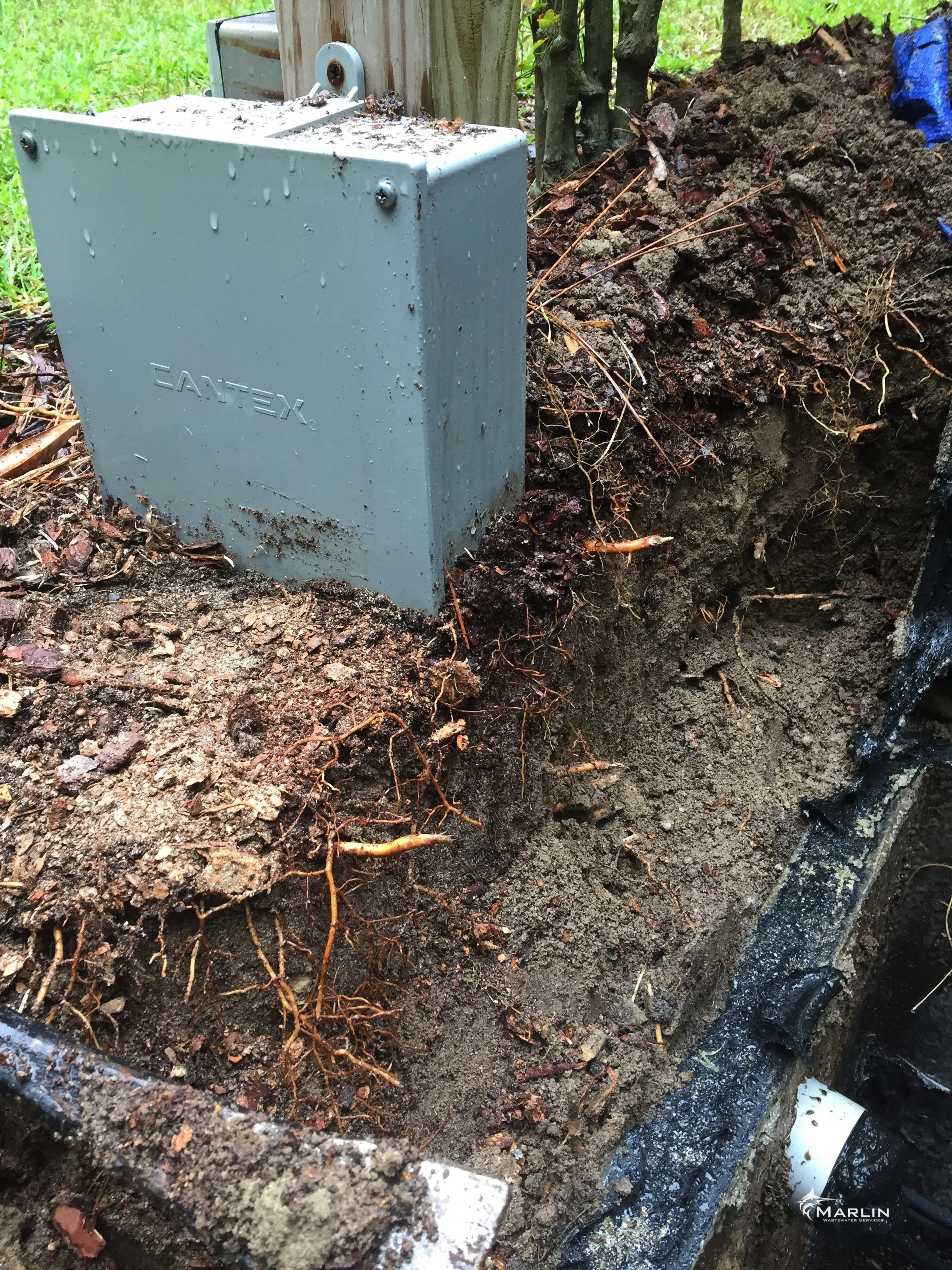 Marlin Unsorted Septic System 114.JPG