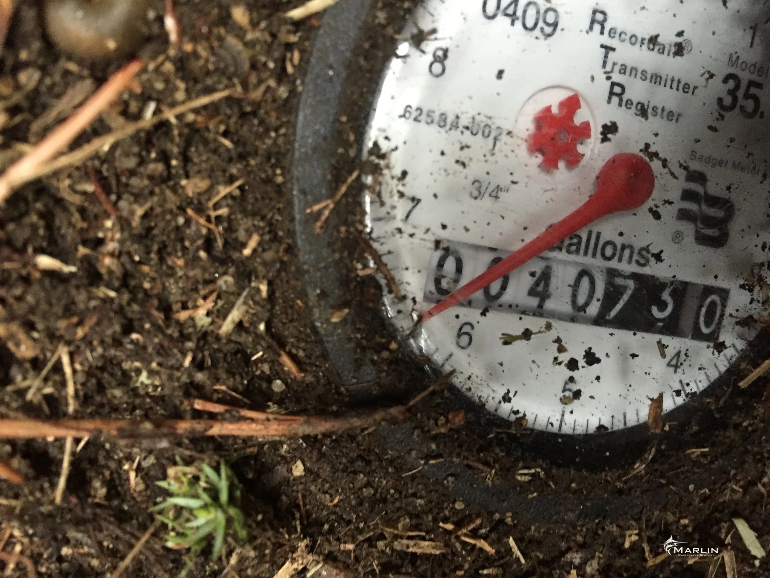 Marlin Unsorted Septic System 115.JPG