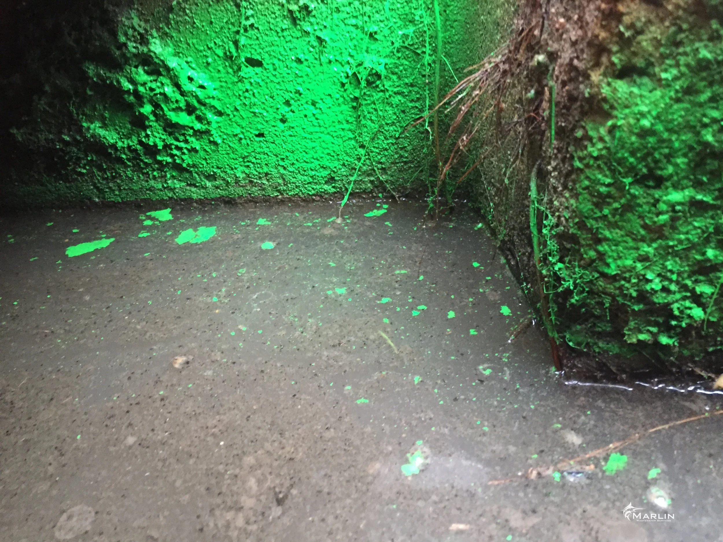 Marlin Unsorted Septic System 116.JPG