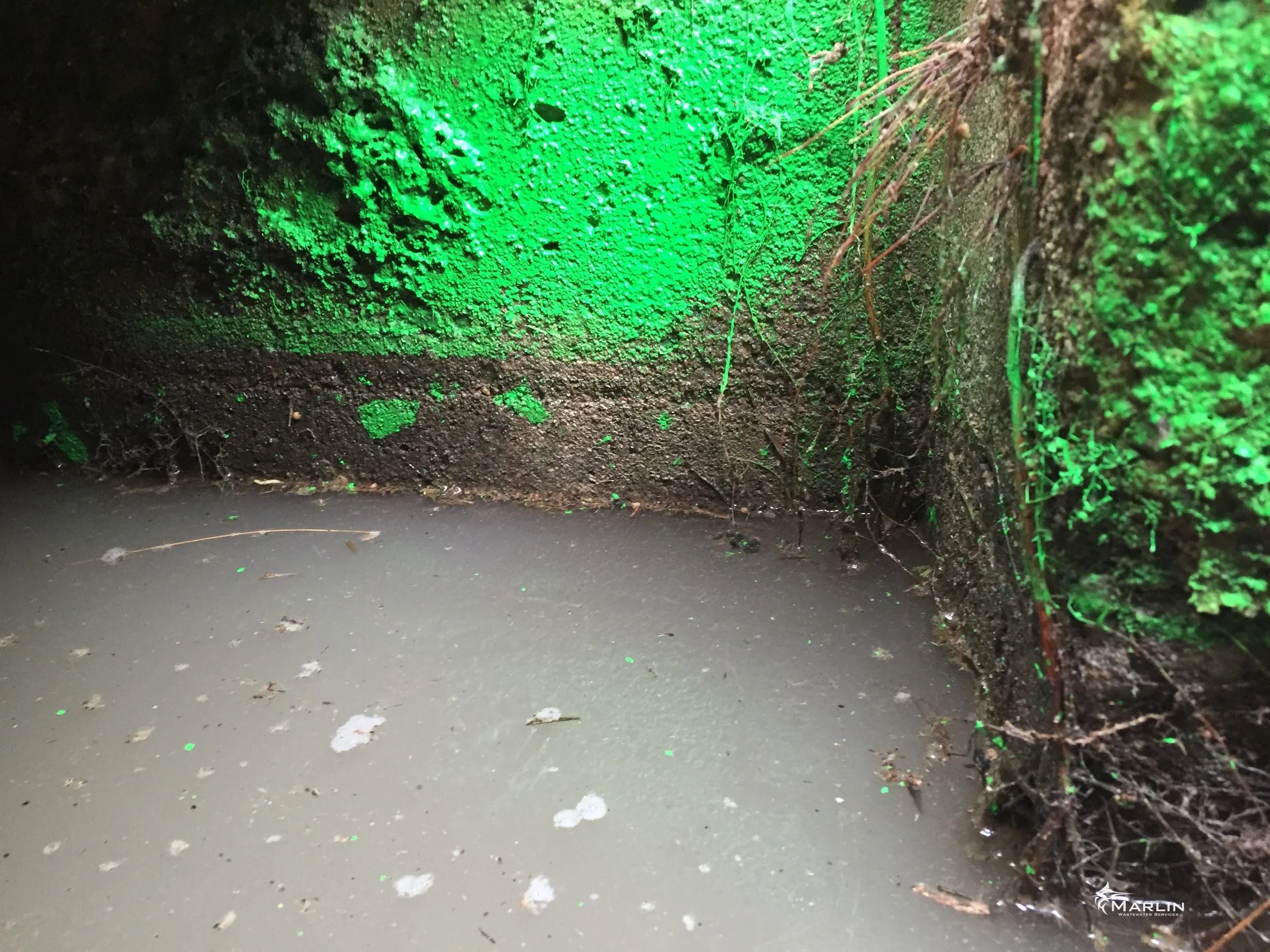 Marlin Unsorted Septic System 117.JPG