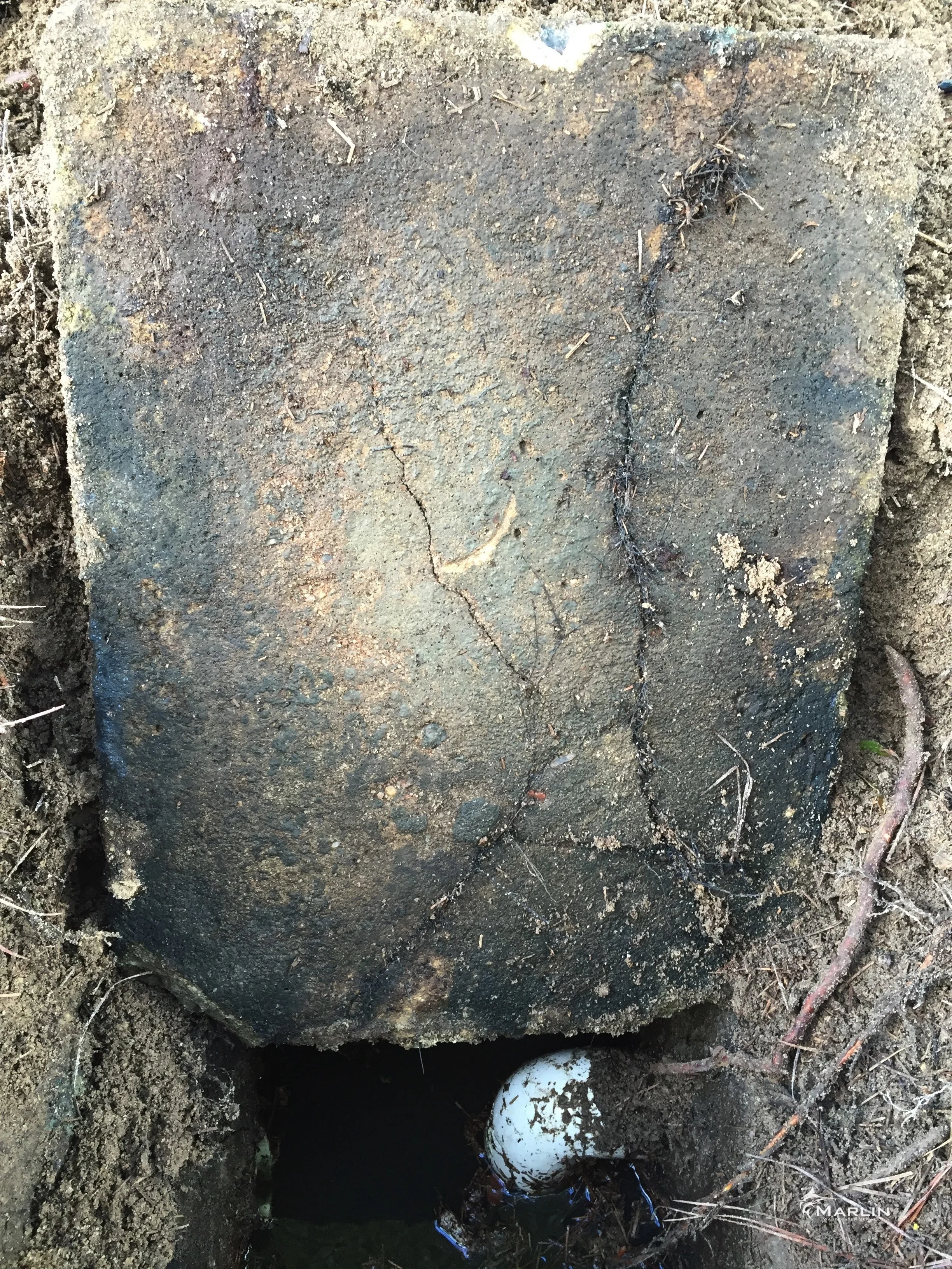 Marlin Unsorted Septic System 119.JPG