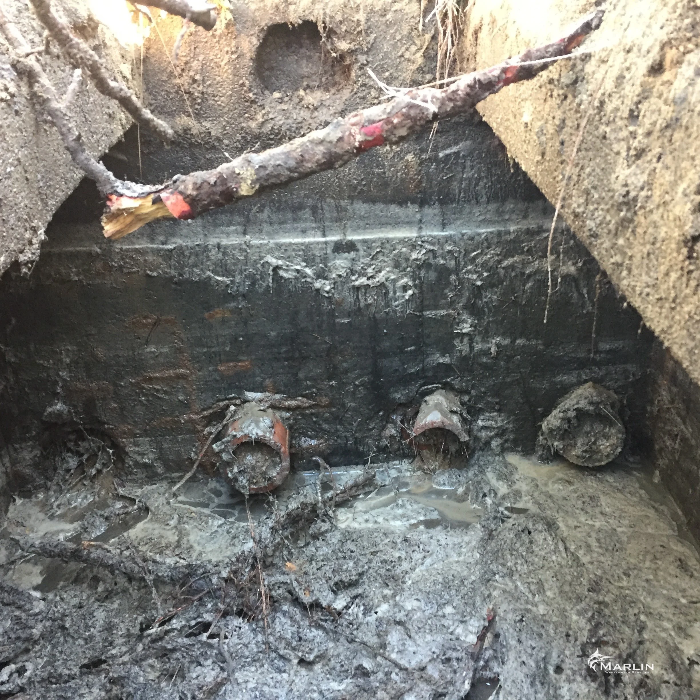 Marlin Unsorted Septic System 121.JPG