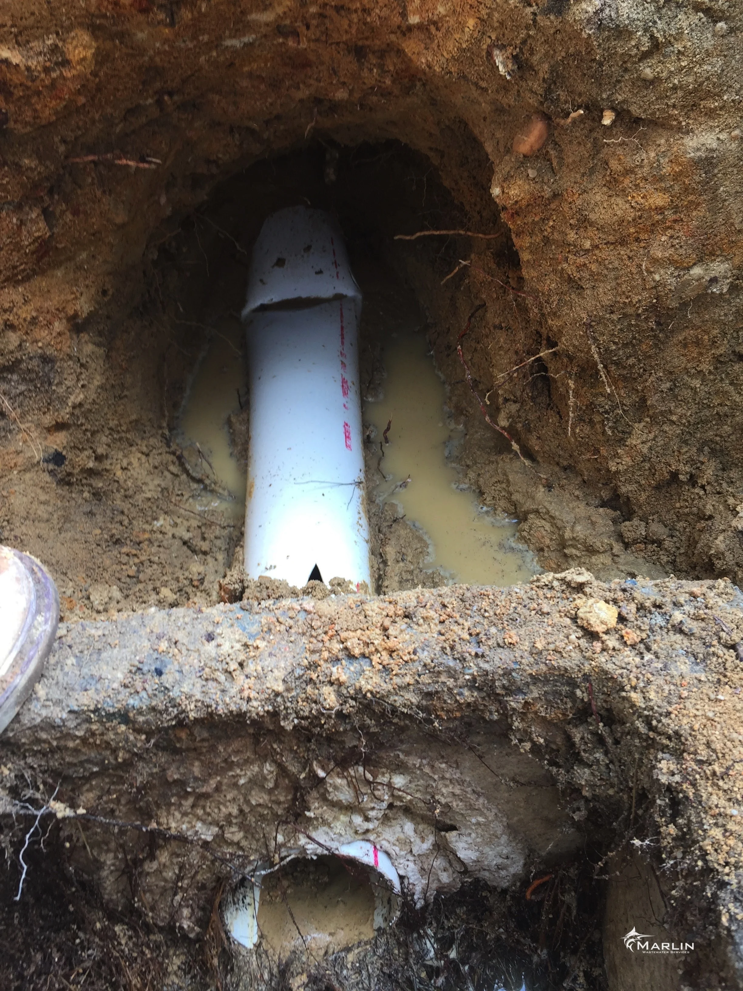 Marlin Unsorted Septic System 122.JPG