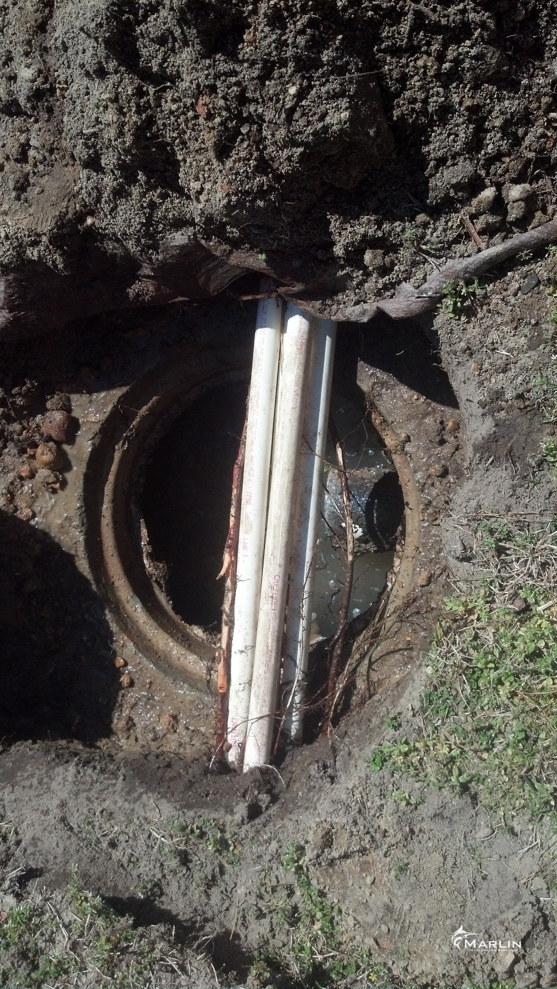 Irrigation Over Septic Tank Access Lid