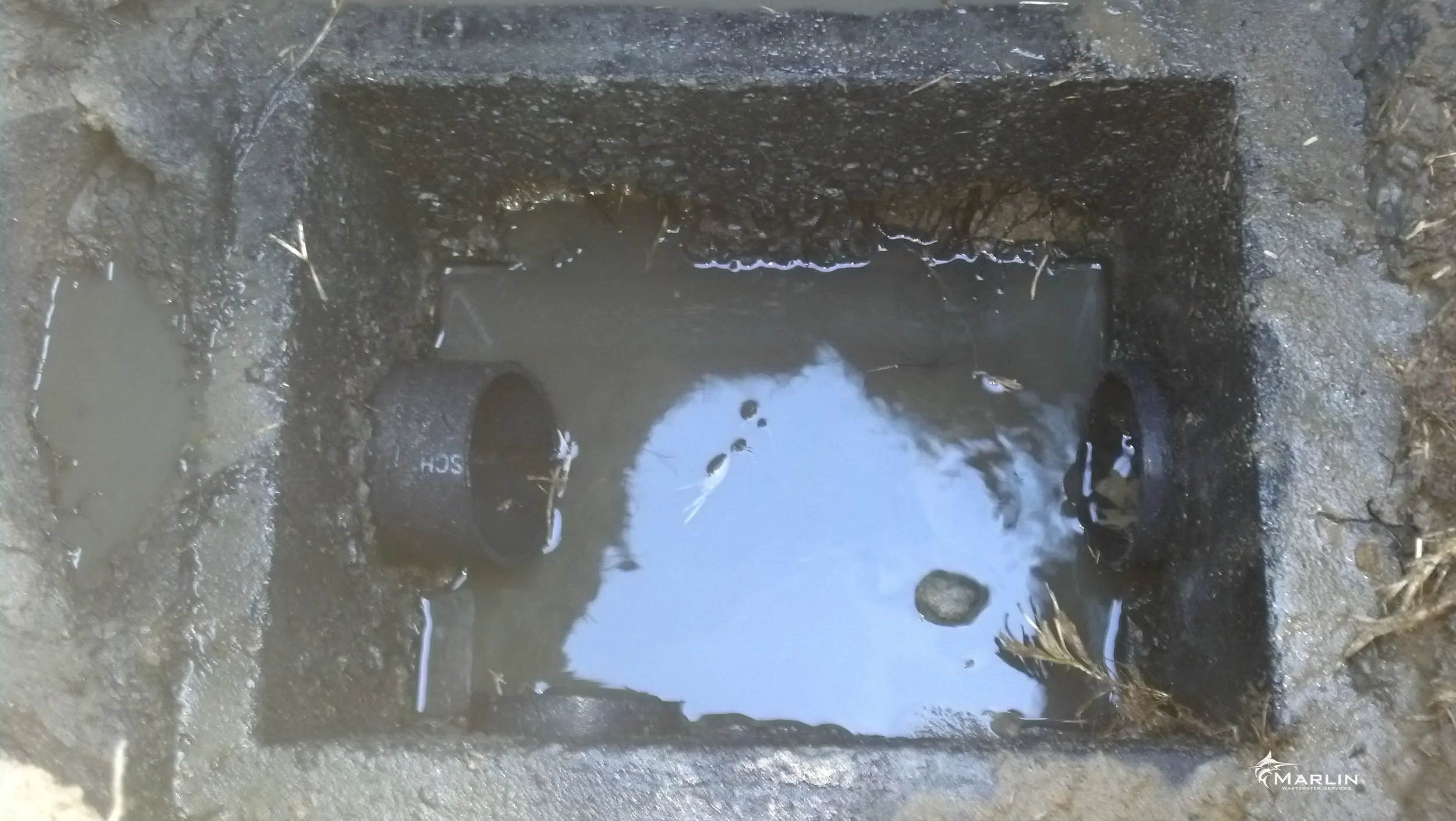 Concrete D-Box