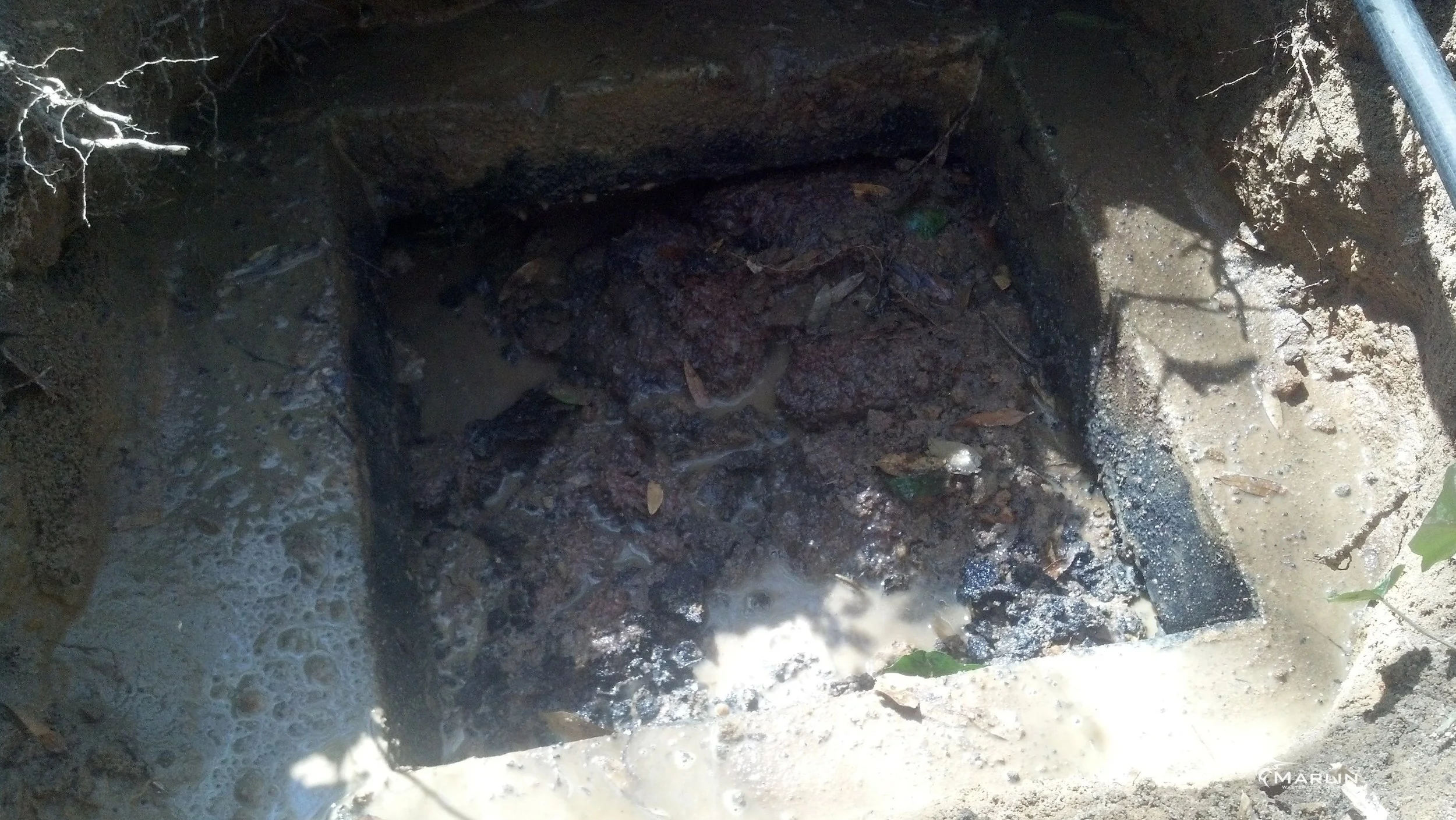 Thick Scum Coat in Septic Tank
