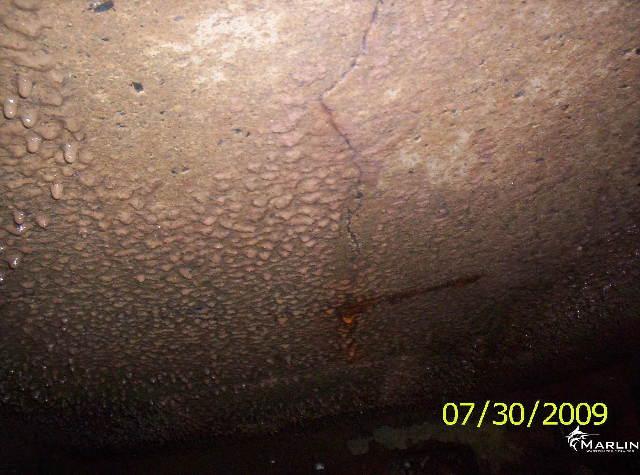 Cracked Septic Tank 2.JPG