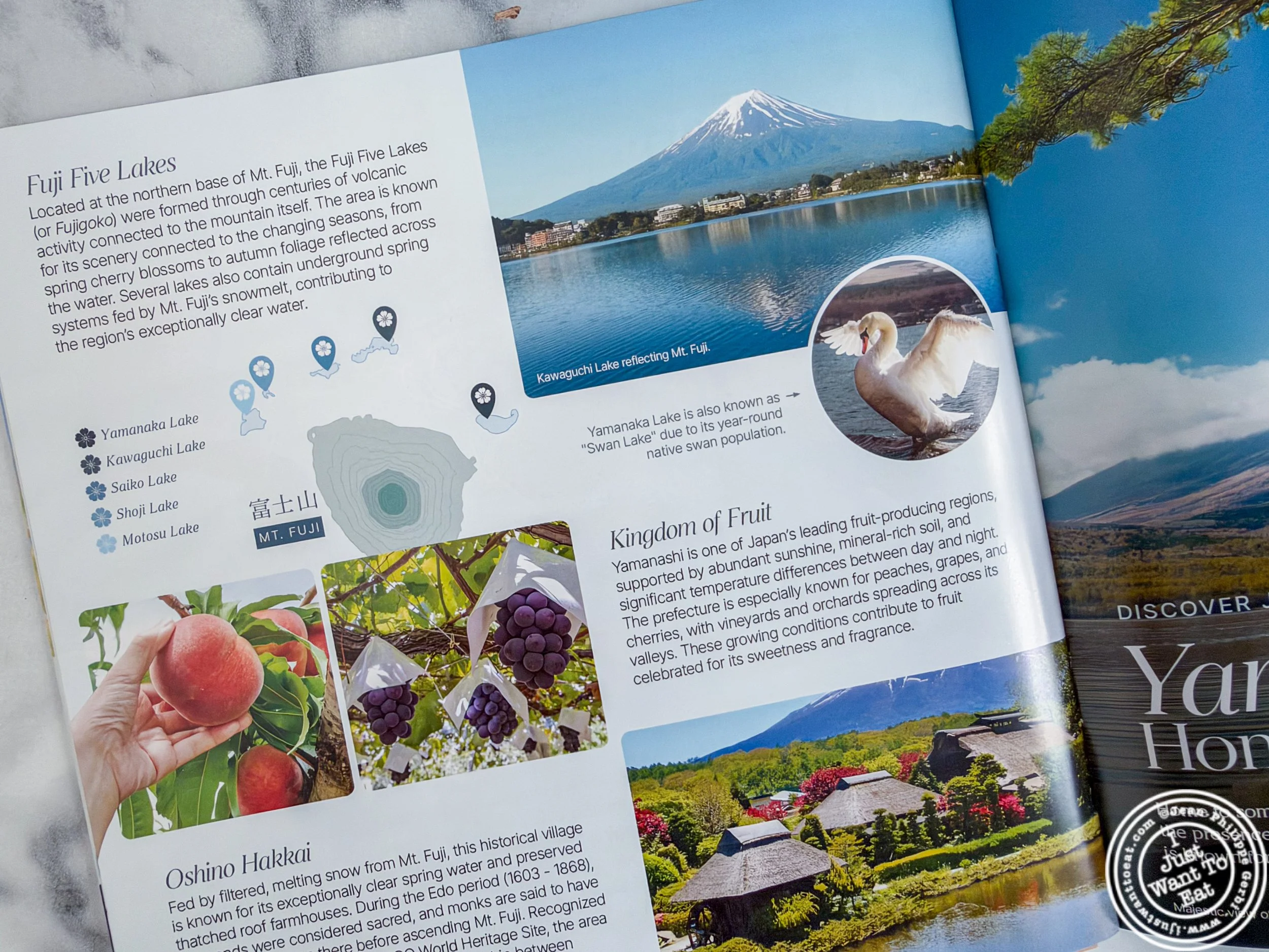 Guide book for Sakuraco Japanese snacks and tea box