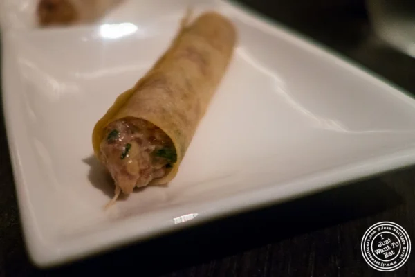 Tuna tartare Spring rolls at Buddakan in New York, NY
