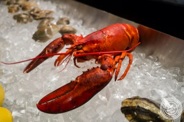 Lobster at Claw Daddy's in New York, NY