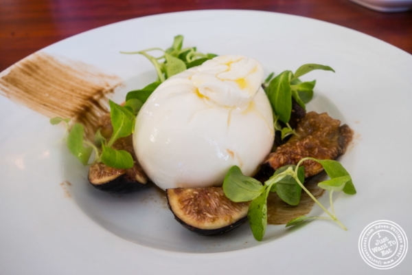Burrata at Torino, Italian Restaurant in New York, NY