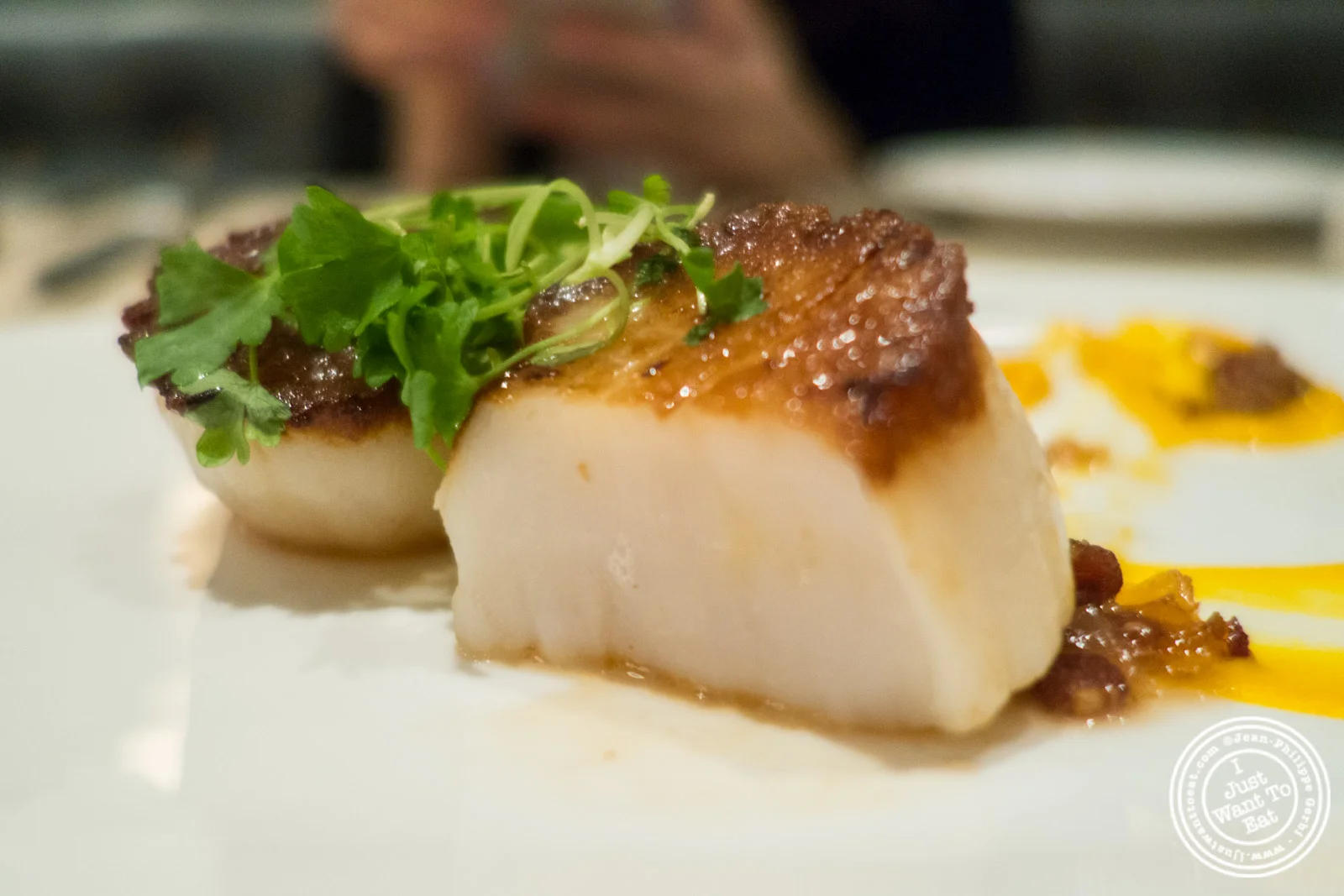 Diver Scallops at Maze by Gordon Ramsay in New York, NY
