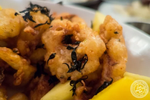 Calamari tempura at Eatery, Theater District, NYC, New York