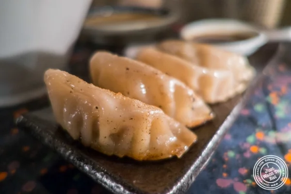 Pork gyoza at Zutto, Japanese American Pub in Tribeca, NYC, New York