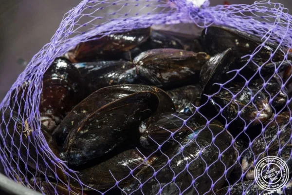 Prince Edward Island mussels