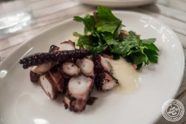 Grilled octopus at Telepan Local in TriBeCa, New York, NY