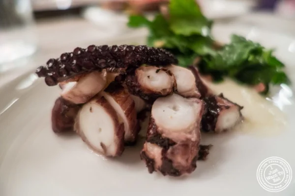Grilled octopus at Telepan Local in TriBeCa, New York, NY