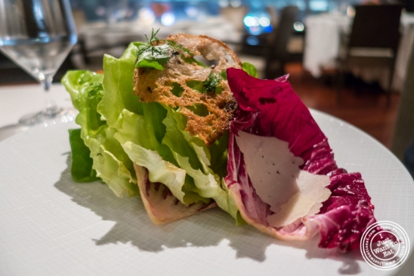 Insalata at Ai Fiori in New York, NY