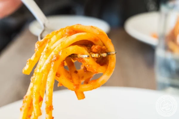 bucatini all'Amatriciana at Via Vai in Astoria, NY