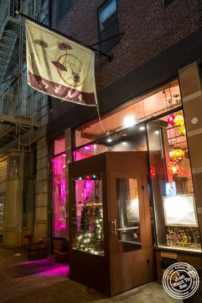 Devi, Indian restaurant in NYC, New York