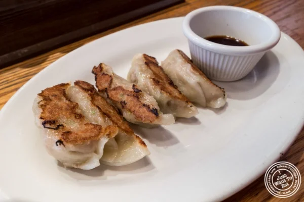 Pork Gyoza at Terakawa Ramen in NYC, New York