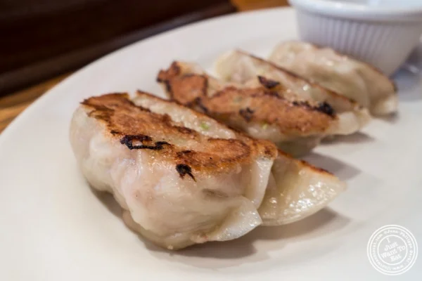 Pork Gyoza at Terakawa Ramen in NYC, New York