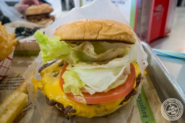Cheeseburger at Burger Fi in Yorkville, NYC, New York