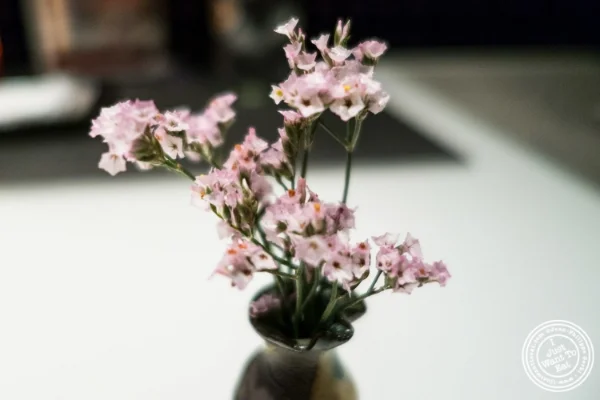 Flower at Fushimi in Williamsburg, Brooklyn, NY