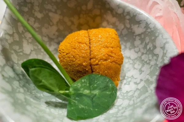 Uni or sea urchin at Fushimi in Williamsburg, Brooklyn, NY