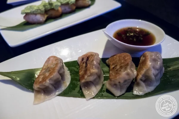Potstickers at Koi Soho in the Trump Hotel, NYC, New York