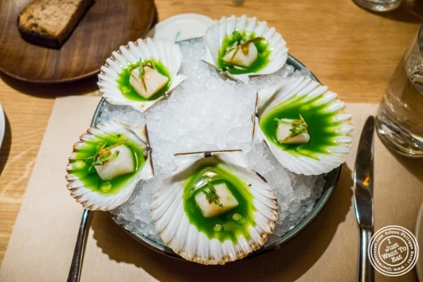 Bay scallops at Little Park in TriBeCa, NYC, New York