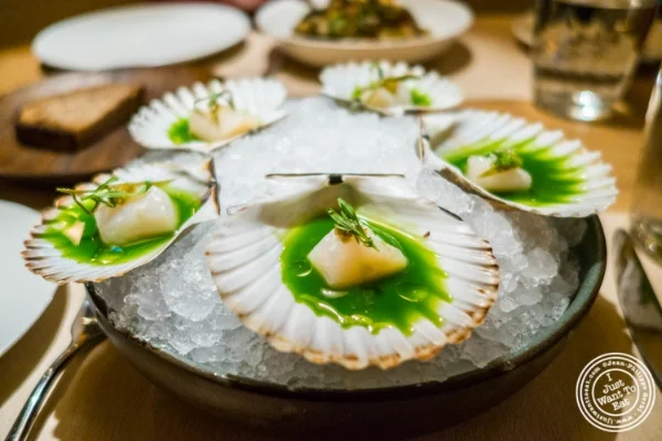 Bay scallops at Little Park in TriBeCa, NYC, New York