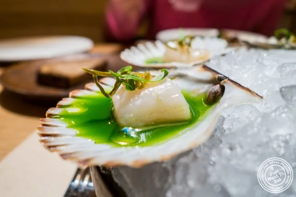 Bay scallops at Little Park in TriBeCa, NYC, New York